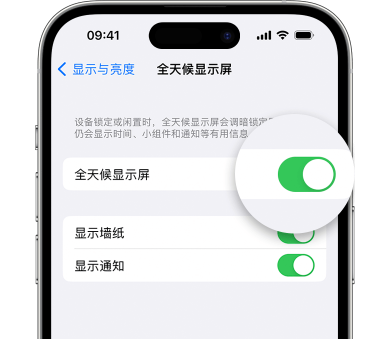 阳新苹果15预约维修分享iPhone15如何设置全天候显示屏幕可见 